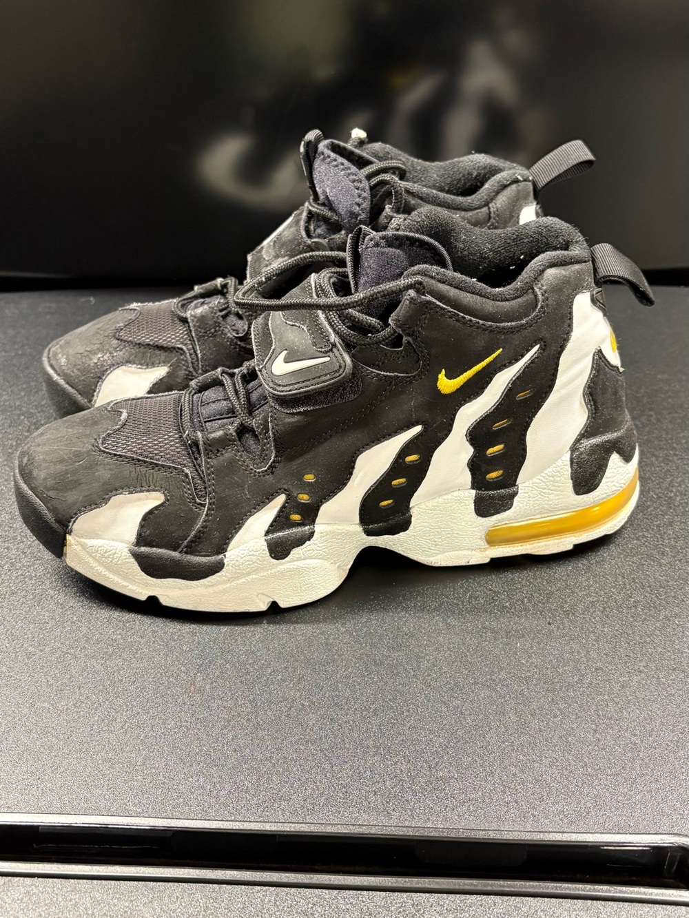 Nike air DT max